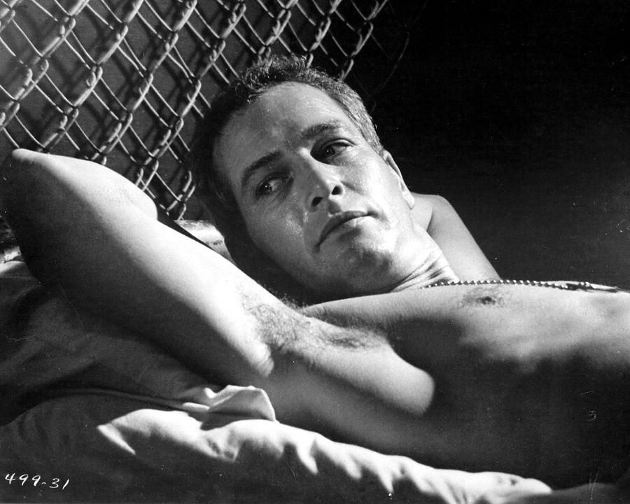 Paul Newman Photograph - Cool Hand Luke  by Silver Screen