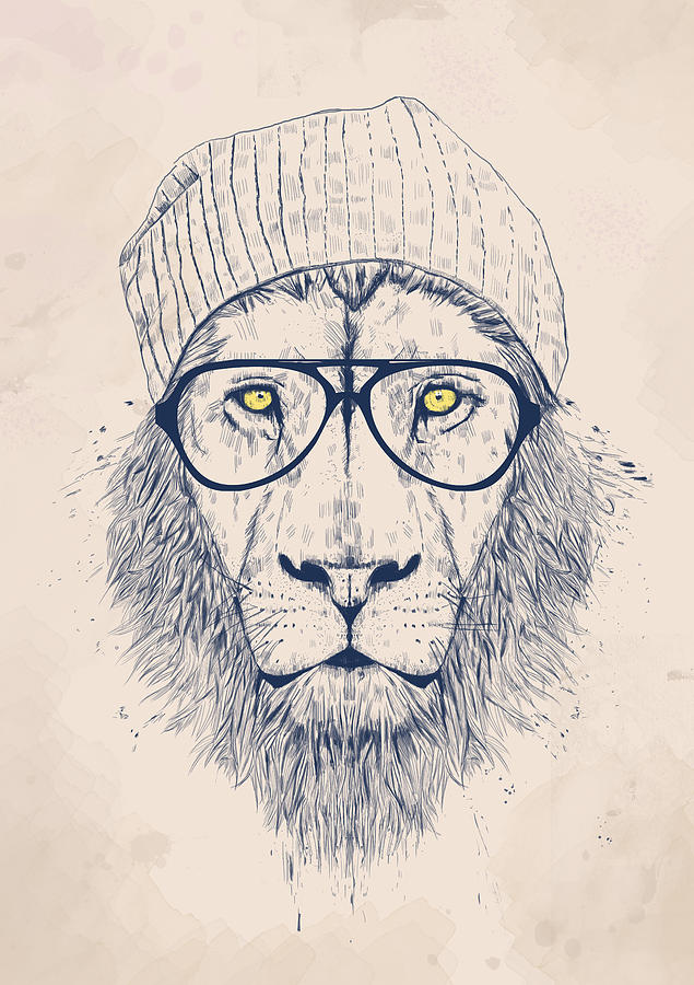 Lion Drawing - Cool lion by Balazs Solti