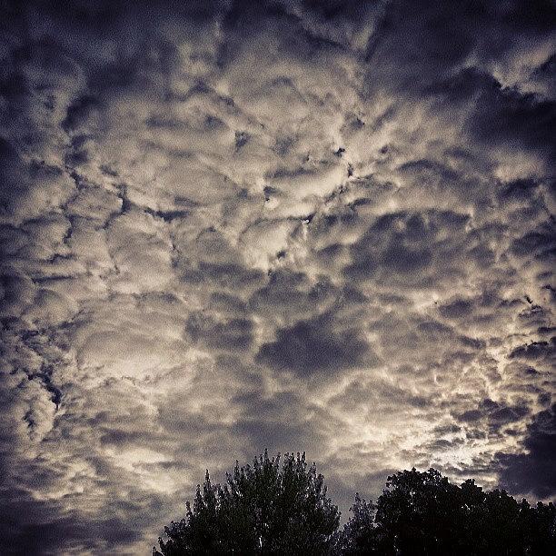 Tree Photograph - #cool Look To The #clouds #tonight by Chad Schwartzenberger