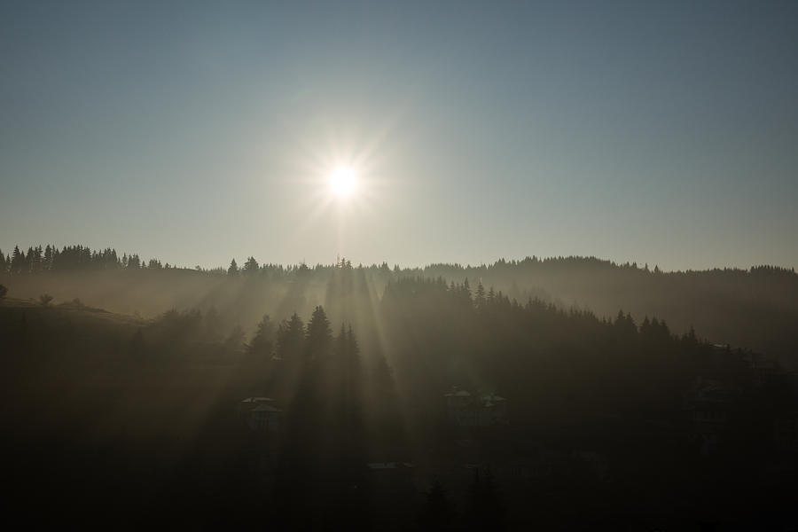 Cool Mist and Sunbeams  Photograph by Georgia Mizuleva