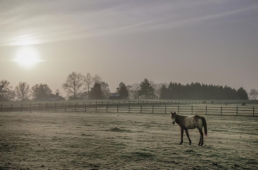 Cool Photograph - Cool Morning on the Farm by Bill Cannon