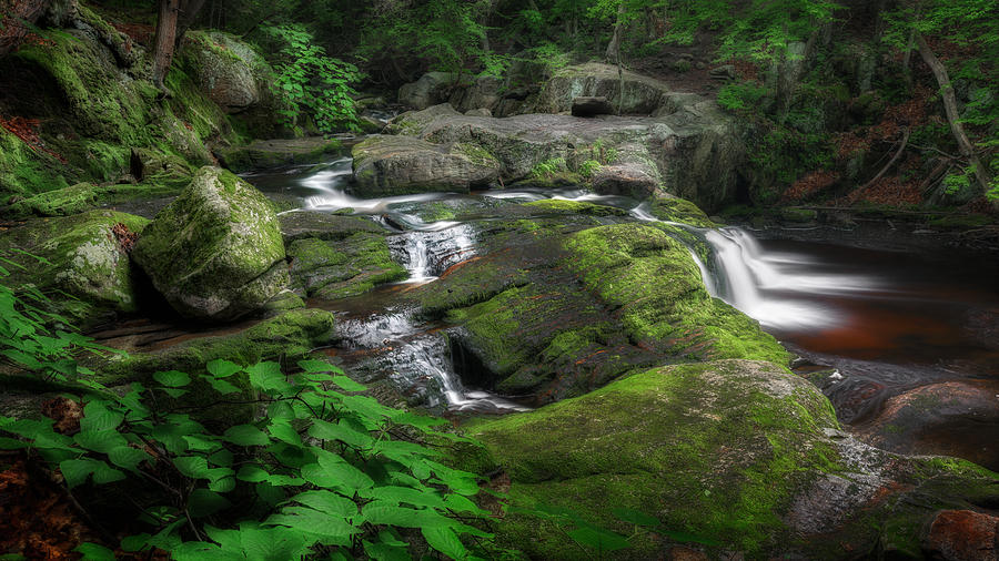 Spring Photograph - Cool Mountain Stream by Bill Wakeley