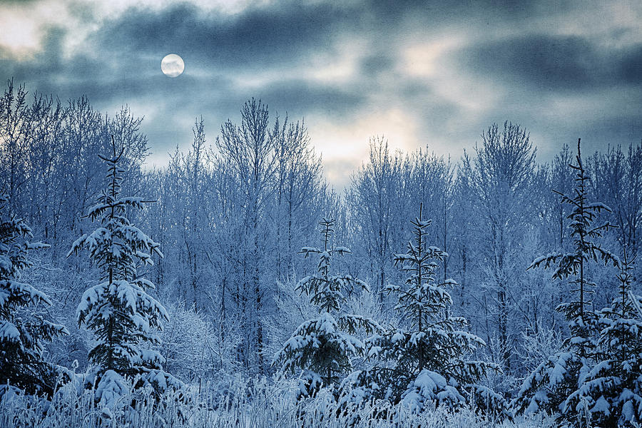 Winter Photograph - Cool Sunrise by Joan Carroll