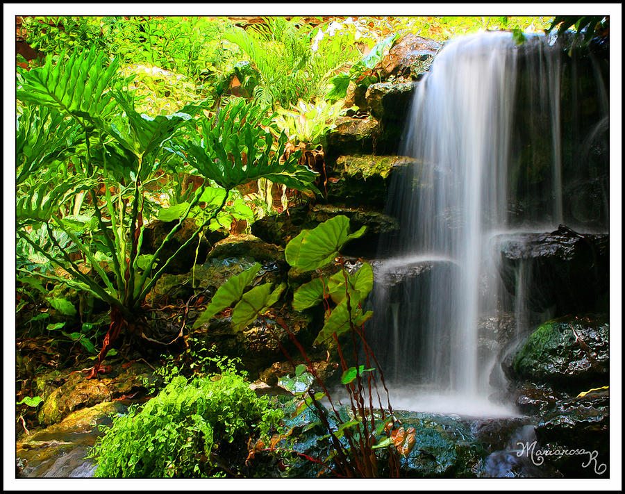 Cool waterfall Photograph by Mariarosa Rockefeller