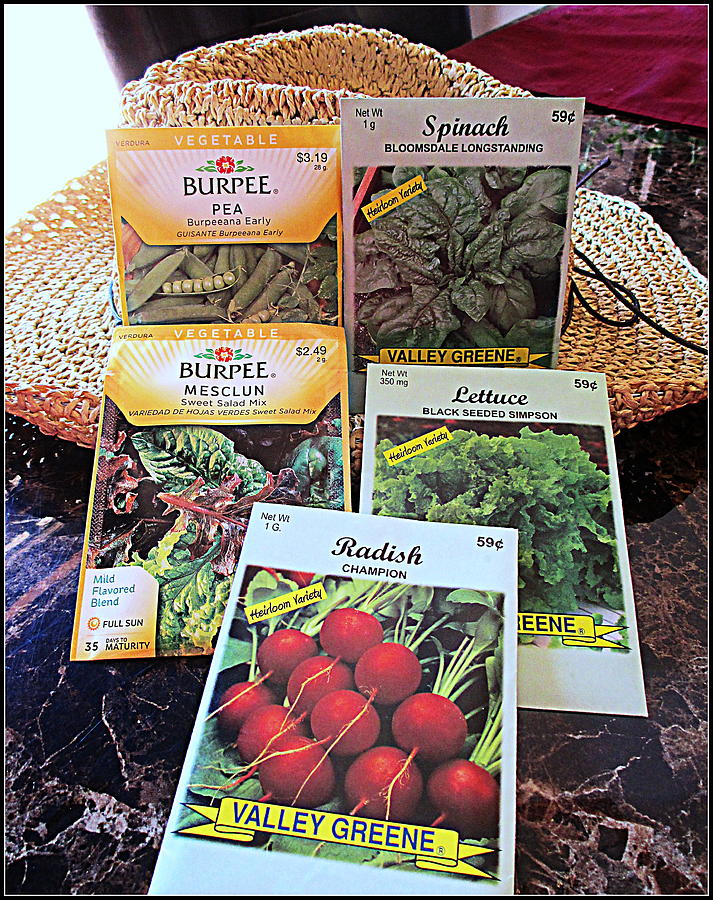 Cool Weather Seeds Photograph by Kay Novy