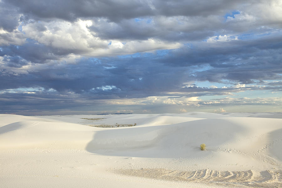 Cool Whip Dunes Photograph by Diana Powell