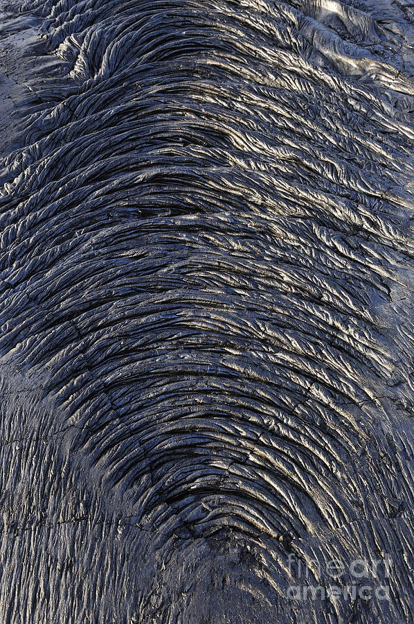 Cooled pahoehoe lava wrinkles Photograph by Sami Sarkis Photography Cooled pahoehoe lava wrinkles Photograph by Sami Sarkis Photography