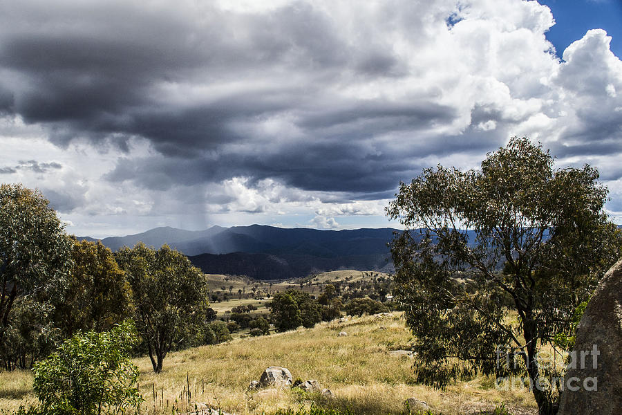 Cooleman Ridge  Photograph by Angela DeFrias
