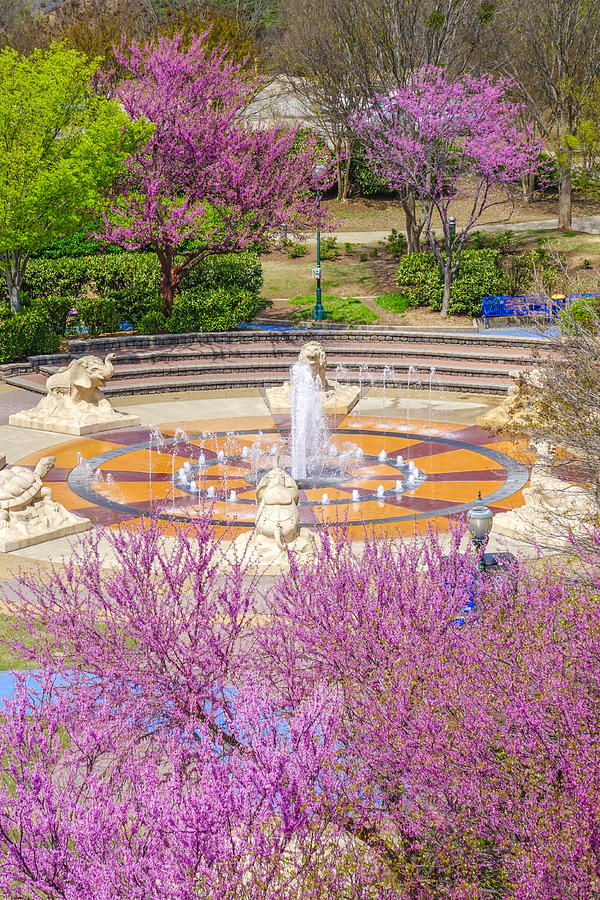 Coolidge Park Fountain in Spring Photograph by Tom and Pat Cory