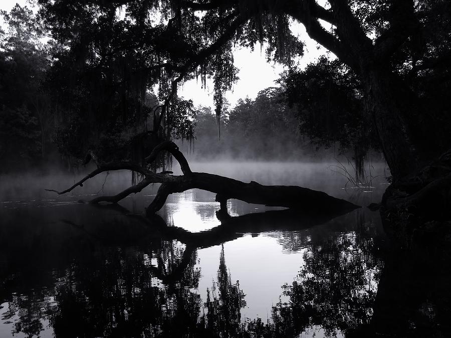 Coolness and Fog on the Withlacoochee River Photograph by Warren Thompson