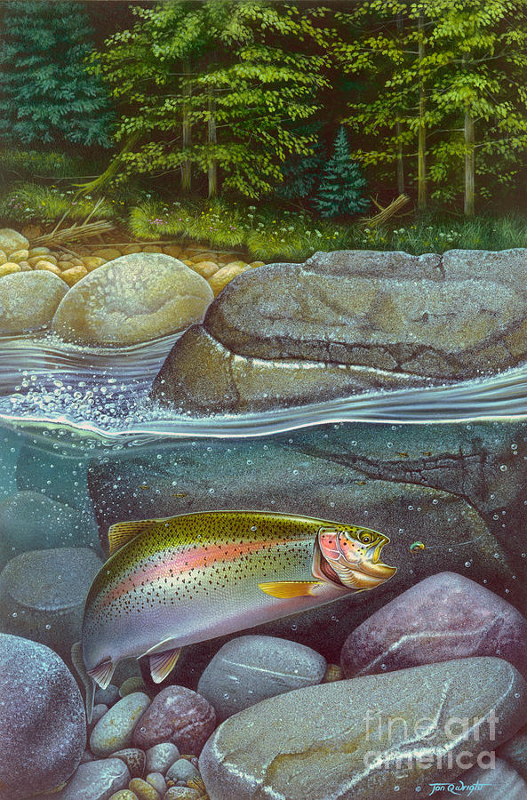 Coolwaters Rainbow Trout Painting by JQ Licensing