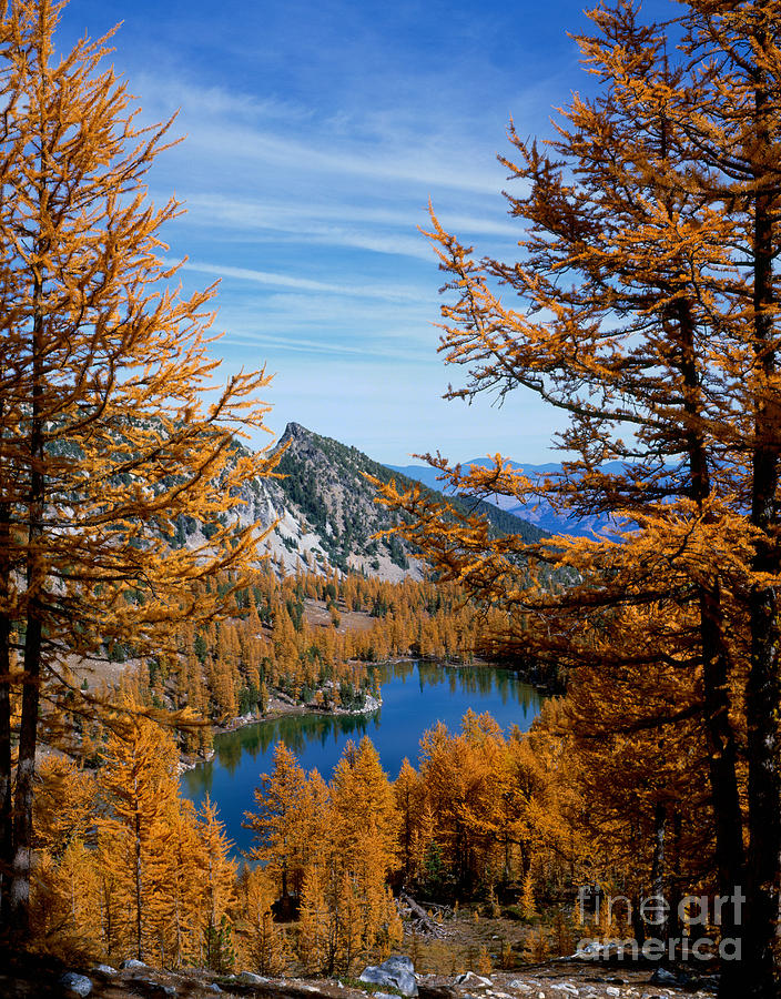 Fall Photograph - Cooney Lake And Martin Peak by Tracy Knauer
