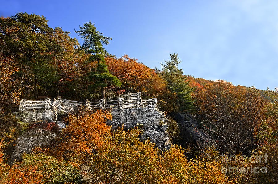 Coopers Rock overlook in the fall Photograph by Dan Friend