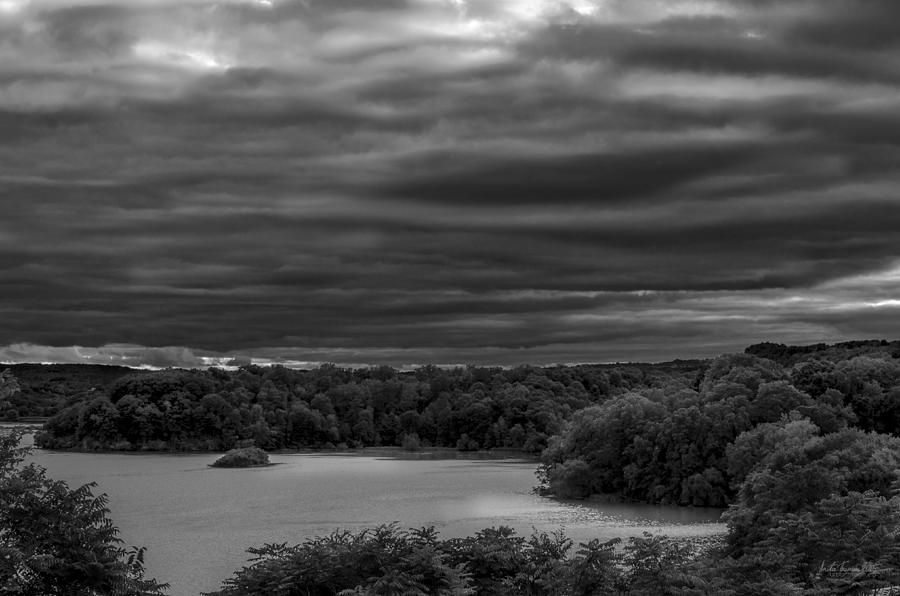 Tree Photograph - Cootes Paradise by Urbanmoon Art and Photography