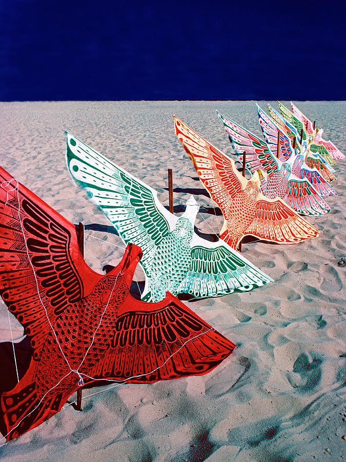 Copacabana kites Photograph by Dennis Cox