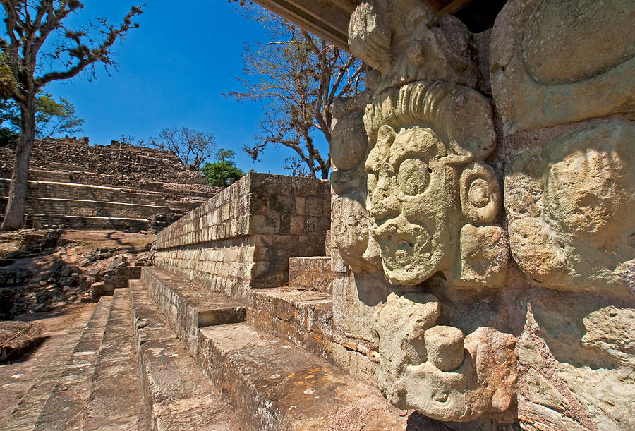 Copan Mayan ruins Photograph by Dennis Cox