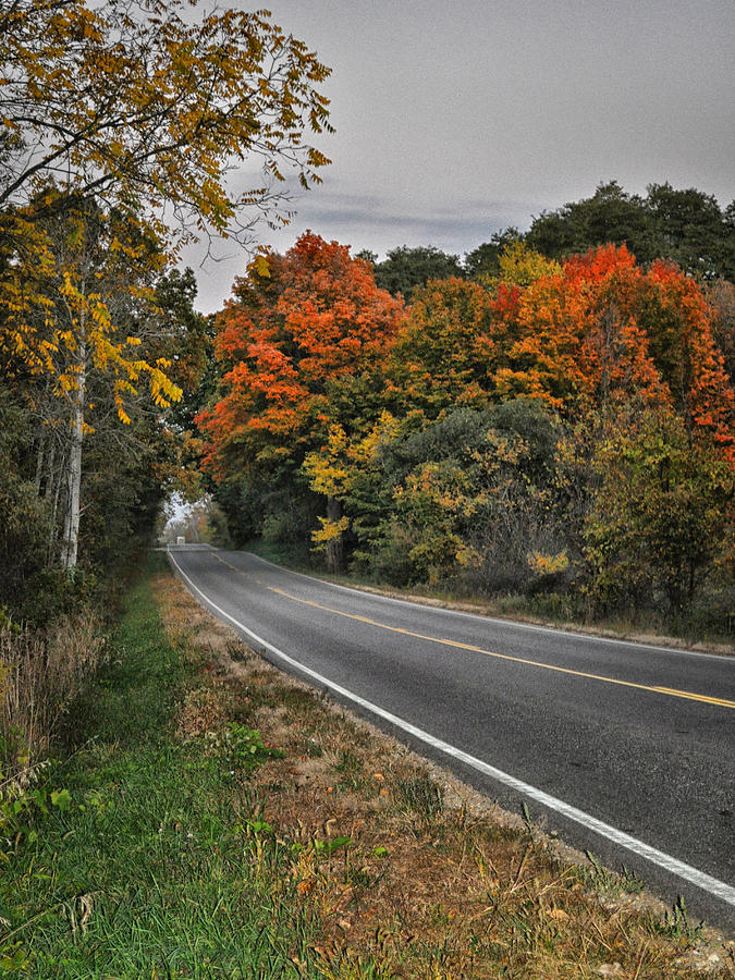 Copeland Road Photograph by Dennis James Fine Art America