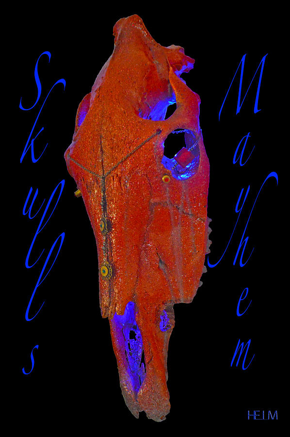 Copper and Turquoise Illuminating Horse Skull Drawing by Mayhem Mediums
