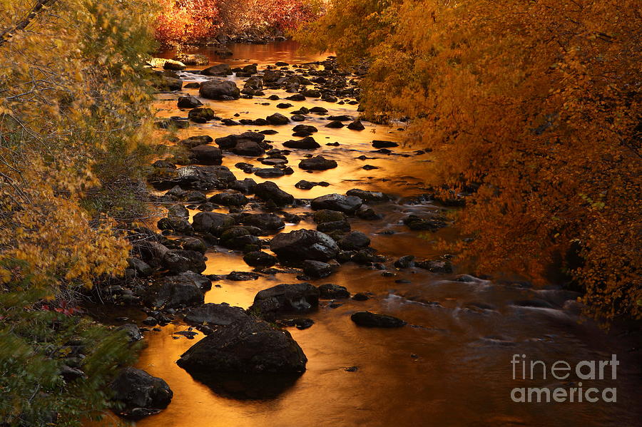 Copper Creek H Photograph by Bill Singleton