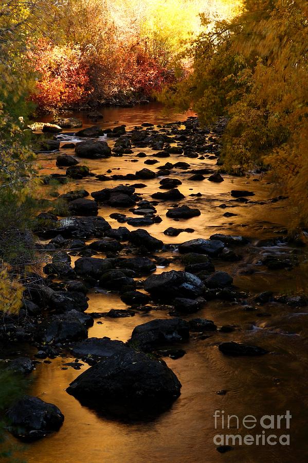 Copper Creek V Photograph by Bill Singleton