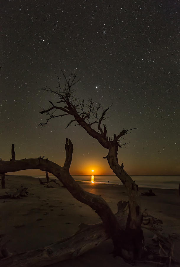 Copper Moon Photograph by Dave LoSapio