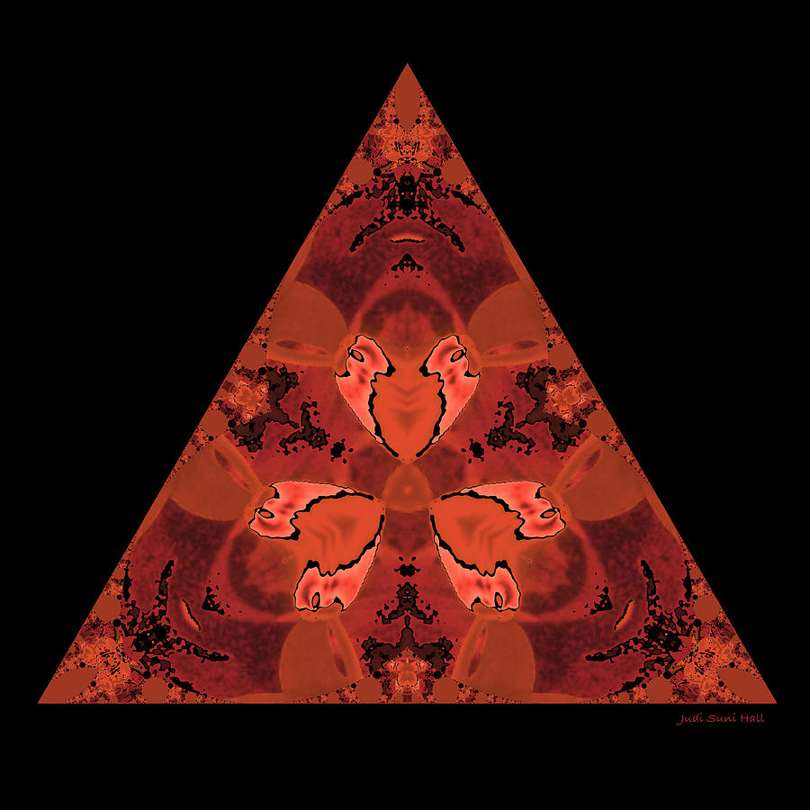 Copper Triangle Abstract Digital Art by Judi Suni Hall