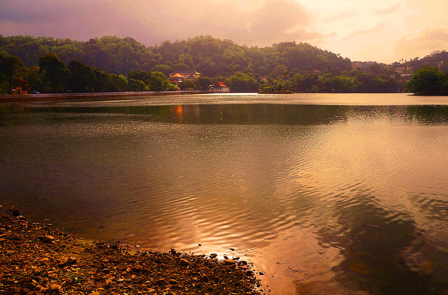 Copper Waters of Kandy Lake. Kandy. Sri Lanka Photograph by Jenny Rainbow