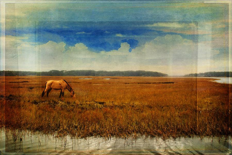 Coppered Marsh Photograph by Alice Gipson