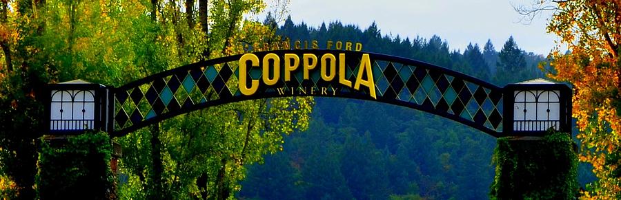 Coppola Winery Two Photograph by Antonia Citrino