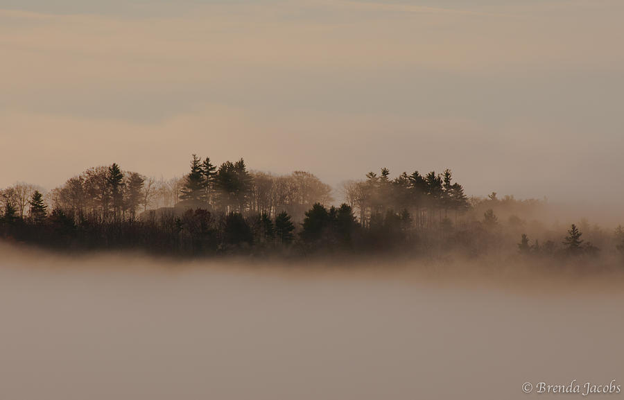 Copps Hill Fog Photograph by Brenda Jacobs