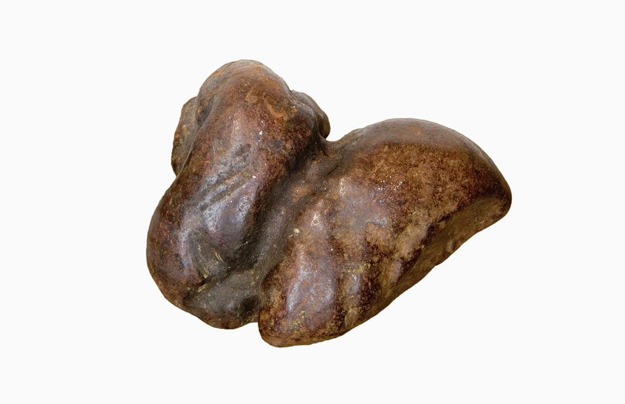 fossilized dung