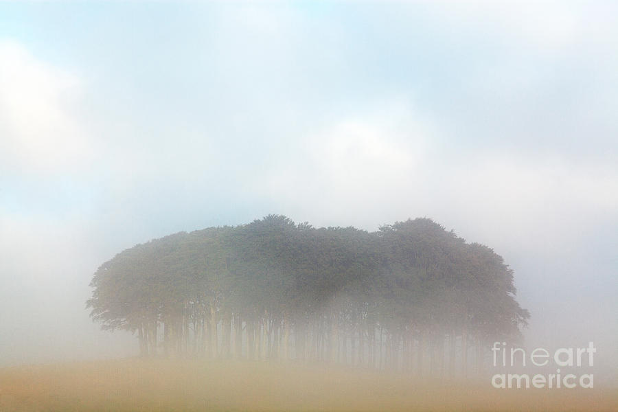 Tree Photograph - Copse in the Clouds by Richard Thomas