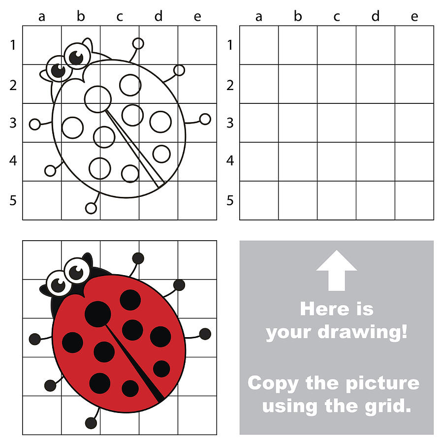 Copy The Image Using Grid Ladybug