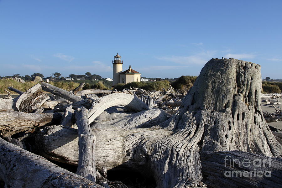 Coquille River Light And Driftwood Photograph by Christiane Schulze Art And Photography
