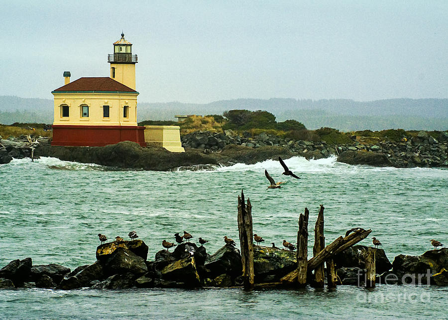 Lighthouse Photograph - Coquille River Lighthouse and Birds by Priscilla Burgers
