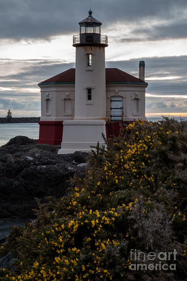 Coquille River Lighthouse Portrait Photograph by John Daly