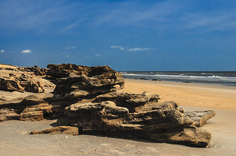 Coquina Rock Formations Photograph by Penny Lisowski