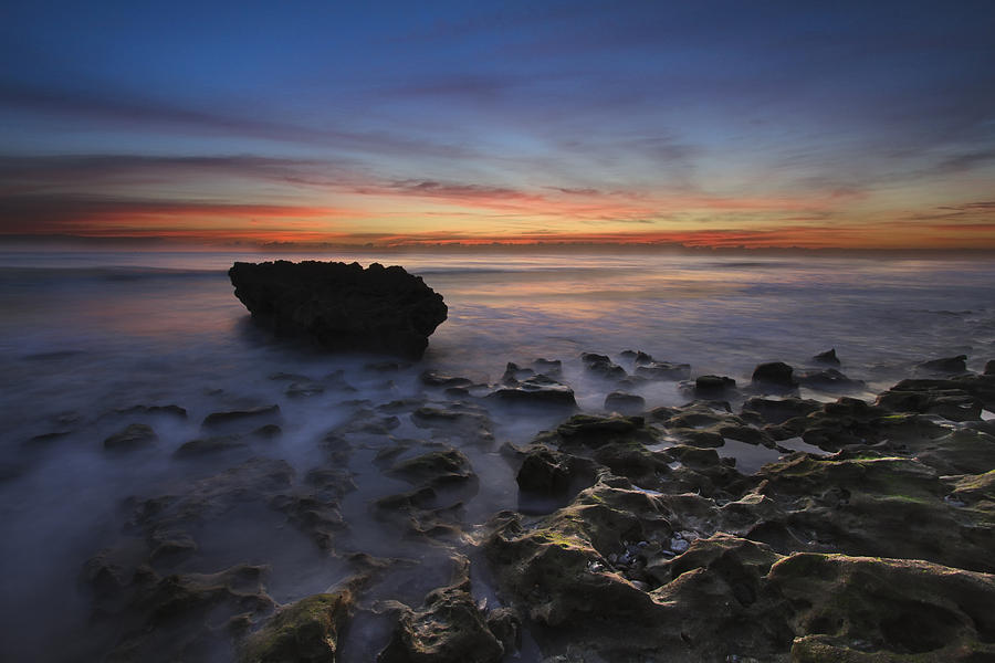Juno Photograph - Coral Cove Beach at Dawn by Debra and Dave Vanderlaan