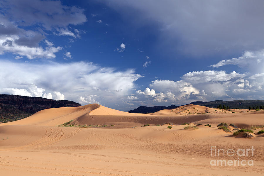 Landscape Photograph - Coral Pink Sand Dunes by Rick Pisio