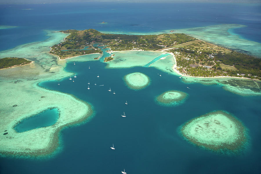Accommodation Photograph - Coral Reef And Musket Cove Island by David Wall Accommodation Photograph - Coral Reef And Musket Cove Island by David Wall