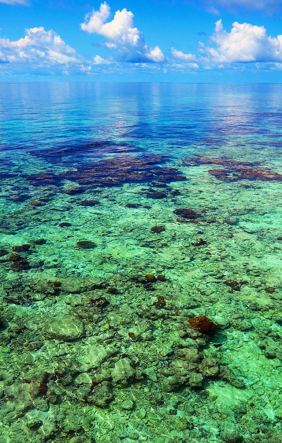 Nature Photograph - Coral Reef Near the Island at Peaceful Day. Maldives by Jenny Rainbow