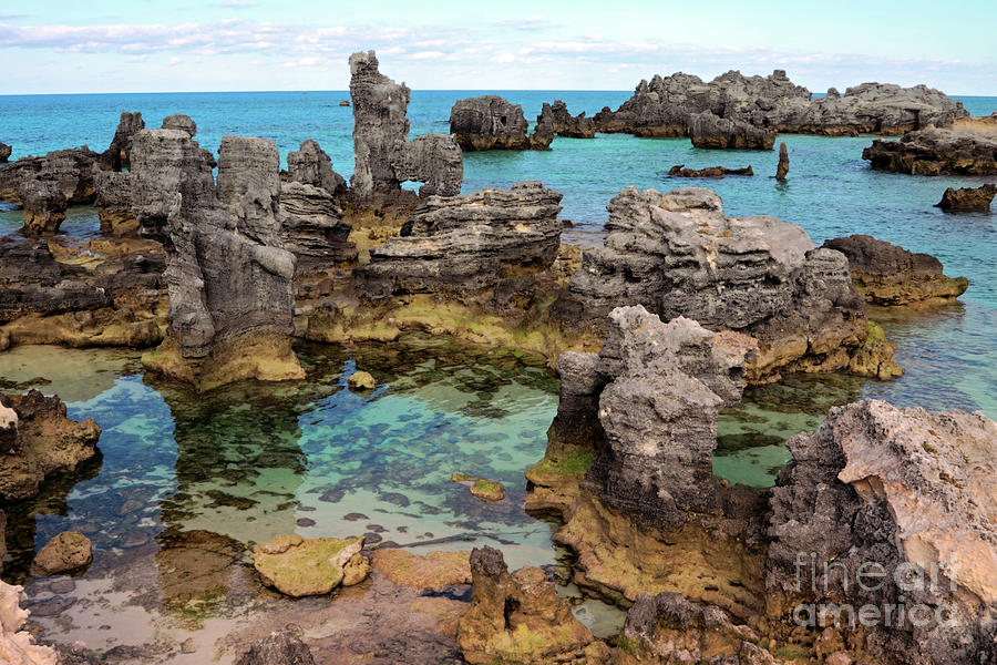 Coral Reef Outcrops in Bermuda Photograph by Charline Xia