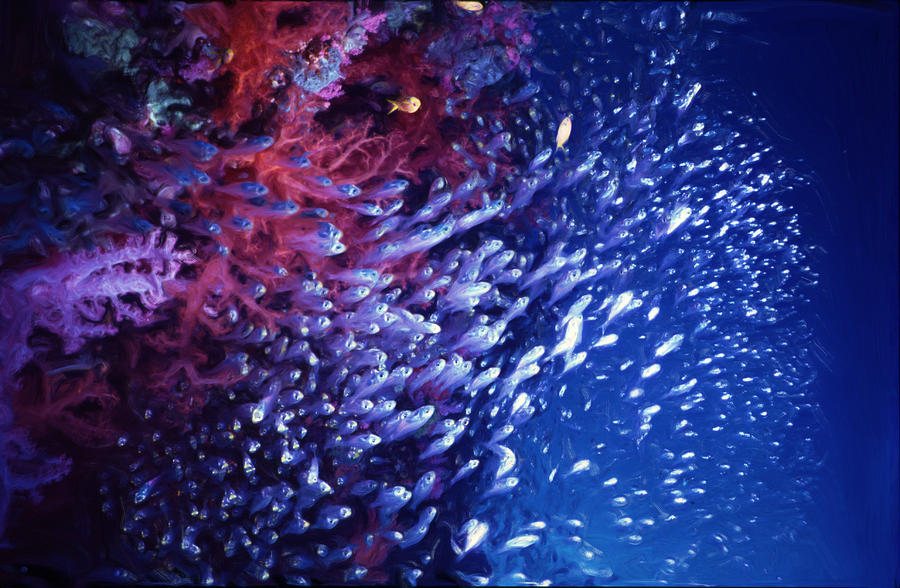 Coral Reef Wall Digital Art by Roy Pedersen
