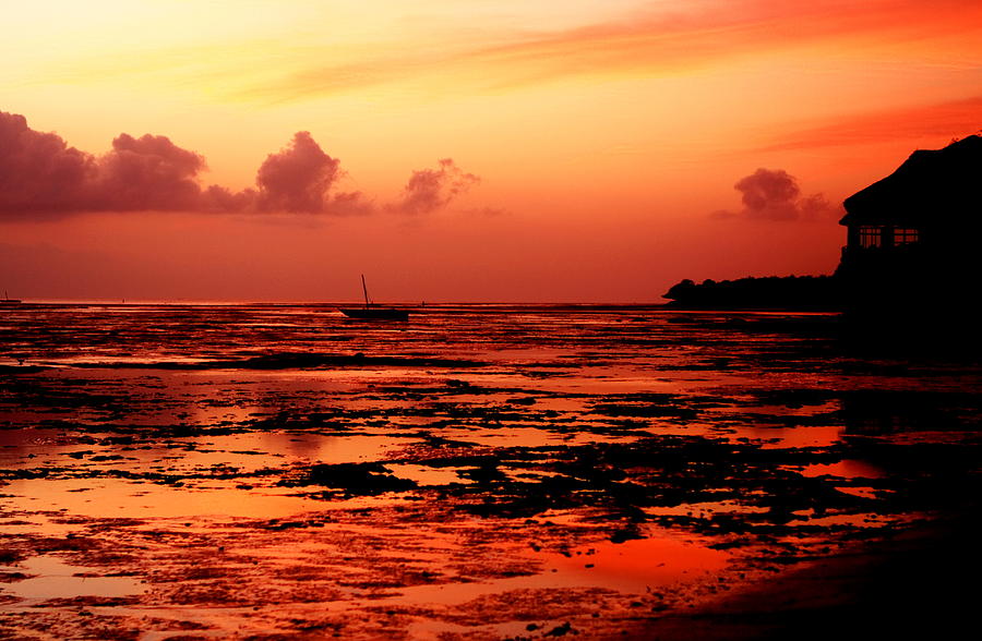 Coral Rock Sunrise  Photograph by Aidan Moran