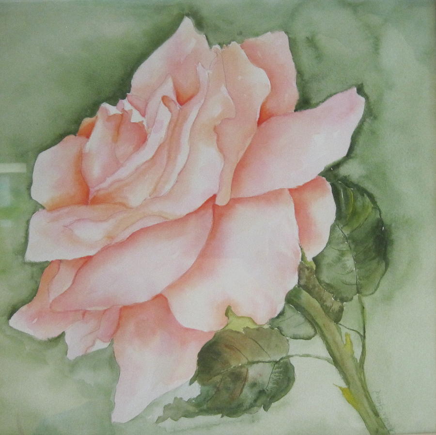 Rose Painting - Coral Rose by Martha Efurd