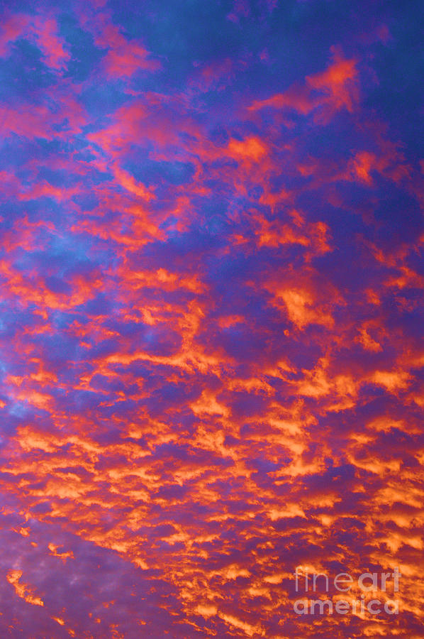 Coral Sky Photograph