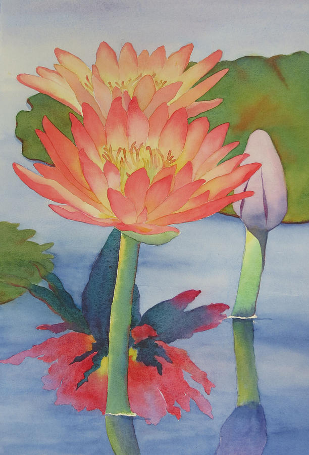 Coral Waterlilies Painting by Judy Mercer