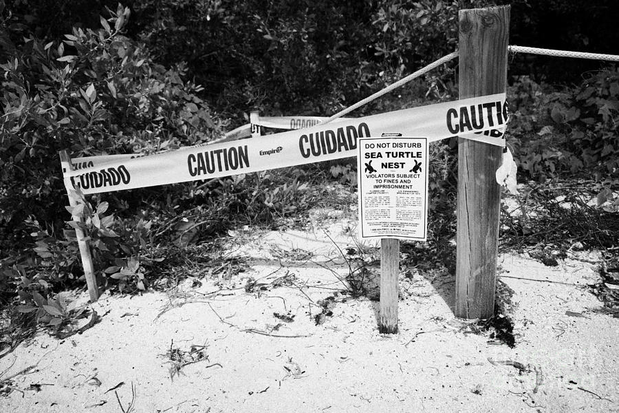 Turtle Photograph - Cordoned Off Sea Turtle Nest With Warning Sign Dry Tortugas Florida Keys Usa by Joe Fox