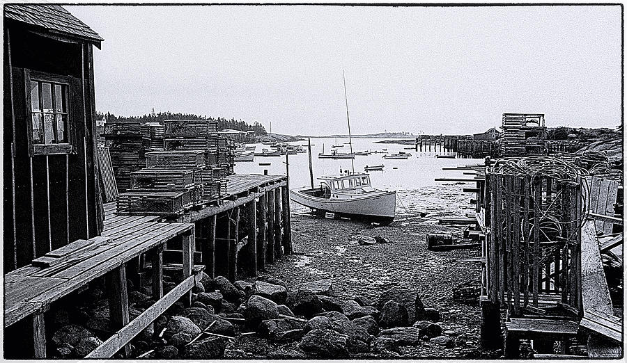 Landscape Photograph - Corea Harbor Maine 1973 No 2 by Marty Saccone