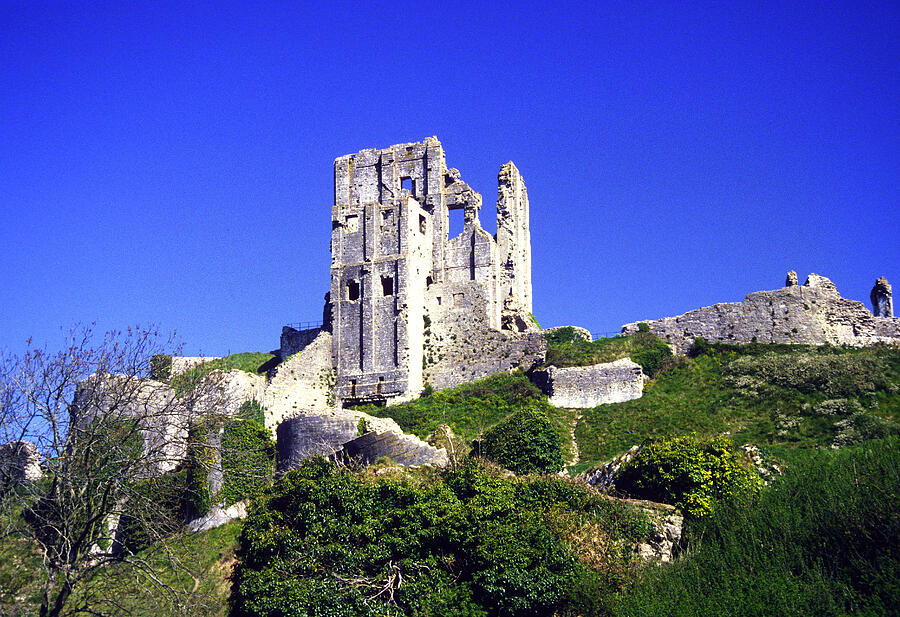 The ruined walls of Corfe castle in Dorset Photograph by Gordon James